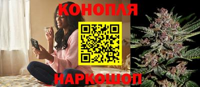 бошки Донской