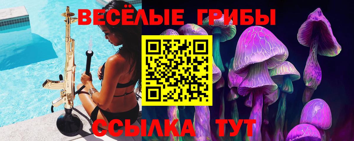 Псилоцибиновые грибы мухоморы Гусев