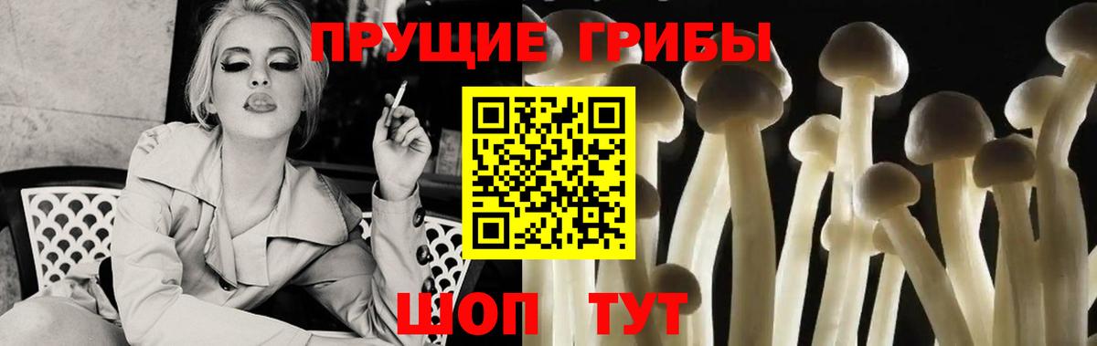 Гусев  Галлюциногенные грибы мицелий  Вход с VPN  Псилоцибиновые грибы MAGIC MUSHROOMS 